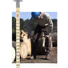 1-71078 Forestry Suppliers Conway Cleveland Log Rule Doyle