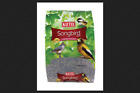 100034431 Kaytee Songbird Wild Bird Food Black Oil Sunflower 071859028392