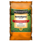 100086585 Pennington Bermudagrass Grass Seed 021496005461