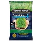 100086830 Pennington Grasses Smart Seed Tall Fescue Premium Blend