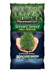 100526679 Pennington Smart Seed Grass 021496017181