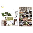 7593562 10860 Natures Blossom Bonsai Tree Kit