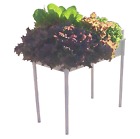 7485873 13284 Creative Motion Salad Grower Soil