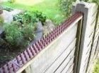 13feet Theoutdoorshop 8 Strips New Cat