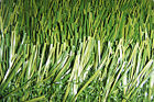 15 Dogs Ultra Oz 58 Bonus 8 Turf Kennel