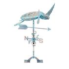 15000 Imax New 2017 Sea Turtle