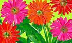 1565m Custom Decor New Mat-gerbera 683963156535