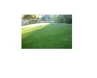 120ssq 15ftx8ft 40oz Turf Lawn Synthetic Artificial Ft
