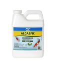 169g Api Pondcare Algaefix Algae Control Treatment Oz 317163071694