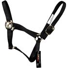 1869423 Heartland Large Halter Horse 0012575971517