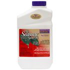 211 Bonide Horticultural Oil Spray Multiple Insects Qt 037321002116