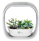 2110 Spigo Indoor Led Grow Light 8156910202408