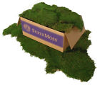 7598340 21508 Super Moss Sheet Forst 759834215080