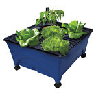 2370 Emsco Group Grow Box Hydroponic Unit 072358023703