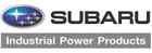 254-79430-41-254-79430-51 Robin Subaru Ignition Coil