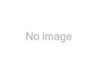 32036896 Northlight Seasonal Decorative Potted Artificial Brown And Green 093422373869
