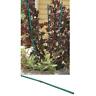 325 Bond Green Bamboo Plant Stakes Each 034613003257