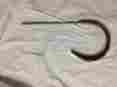 350967r21 Unbranded Brake Band Pair Part No