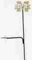 3700-3 865684003446 Henson Metal Works Mississippi State Collegiate Logo Rain Gauge