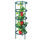 37974 Collections Etc Adjustable Tomato 191121040577