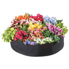 38027 Collections Etc Planter Bed