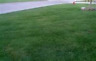4316295298 Farmers Daughters Seeds Turf Type Tall Fescue Lb 691038882364