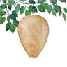 47350 Collections Set Of Hives To Scare Wasps By 191121193549