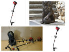 48371s 71102 Assorted 27 Lion