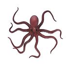 5026 Dillon Imports Giant Latex Foam Posable Octopus Squid Novelty Prop 720189512674