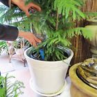5042 Evelots New Plant Watering Spikes Inches In Length 740737649034