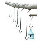 52305 Collections Etc Outdoor Plant 842022110615