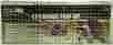 54235 Workshop Tools 2 Piece Animal Trap Set