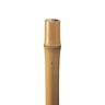 6253u Waddell In Ft Bamboo Pole Brown Indoor Or 0038453195691