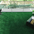 215sf 65.6x3.3ft Unbranded Synthetic Grass Artificial Turf Fake Lawn Plastic Yard Dog Run