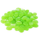 731015229666 Garden Depot Glow In