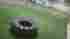 750sq Trainers Turf Gst 63 Ft 2.19 Sq
