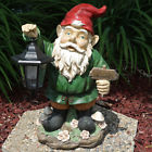 815008022745 Sunnydaze Frankie Jr The Solar Led Lantern Welcoming