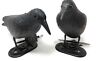818068021857 Unbranded Plastic Crow Decoy Outdoor Garden Hunting With