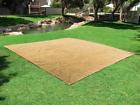 7648420 83017 House Home And More 764842830170