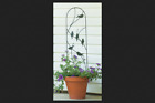 0934329 84493 Panacea Black Trellis 093432844939