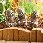 846034 Evergreen Garden Tired Little Buddhas Statuary Set Of 808412368493
