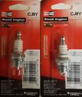848-1 Champion Copper Plus Lawn And Garden Spark Plug 037551011148