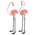 849179006204 Summerfield Terrace Flamboyant Flamingo