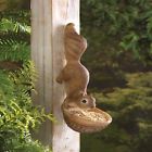 849179019068 Unbranded Scurrying Squirrel Birdfeeder
