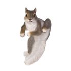 849179026707 Unbranded Climbing Quotchipquot Squirrel Decor Pack Of Ea
