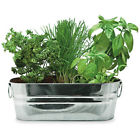 6989423 94330 Buzzy Kitchen Herb Windowsill Grow Kit 698942943303