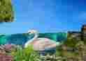 96602 Floating Swan Enchanted Gaden Graceful Pond Pool Or Fountain Decoration 0756519283518