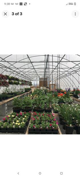 2393576 Acurite 130 Ft Hoop House Frame Outdoor Garden Green 2393576 Acurite 130 Ft Hoop House Frame Outdoor Garden Green