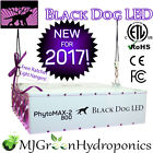 Bdledphyto2800120v Black Dog Led Phytomax-2 661092138585