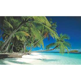 Bg-ww-bch-100 Biggies Scenes Window Well Scenes-beach 100 In Wide X 60 High